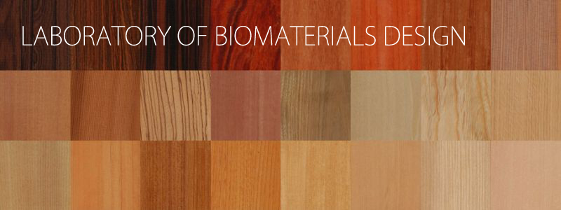 laboratory of biomaterials design